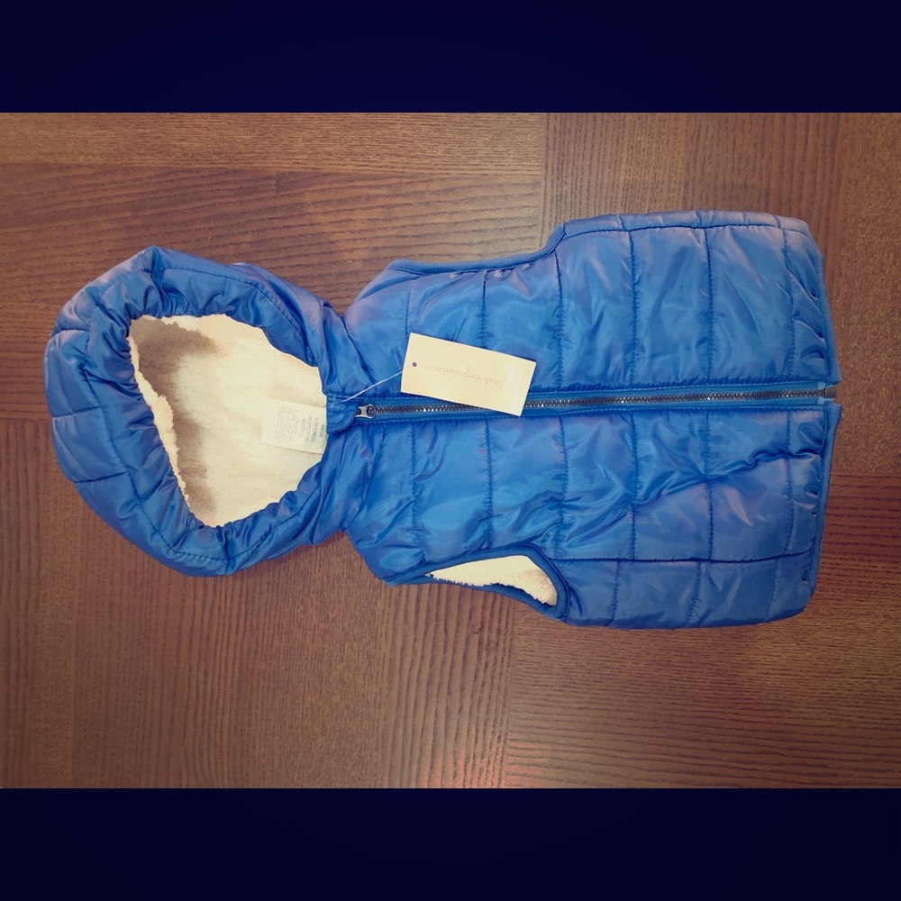 winter vest